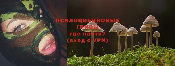 мдпв Наволоки
