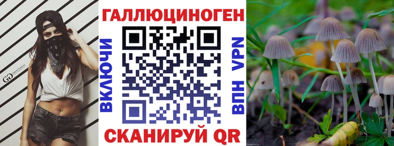 Галлюциногенные грибы Psilocybe  Купить закладки  Красновишерск 